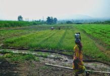पुरंदर विमानतळ रस्ता जोडणीसाठी निधी गेल्या वर्षीच्या अर्थसंकल्पात मंजूर : PMRDA